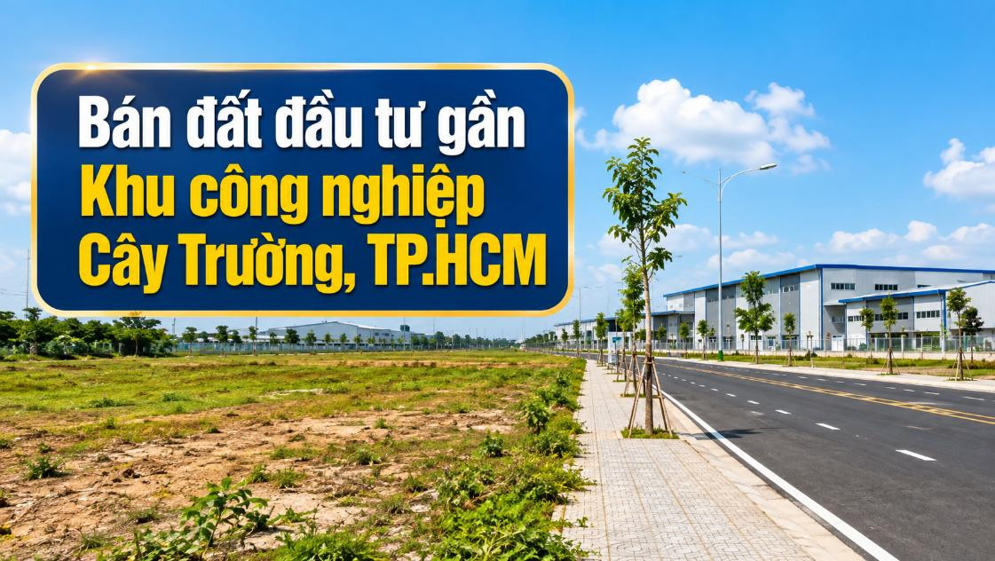Bán đất đầu tư gần KCN Cây Trường, vị trí dễ kết nối