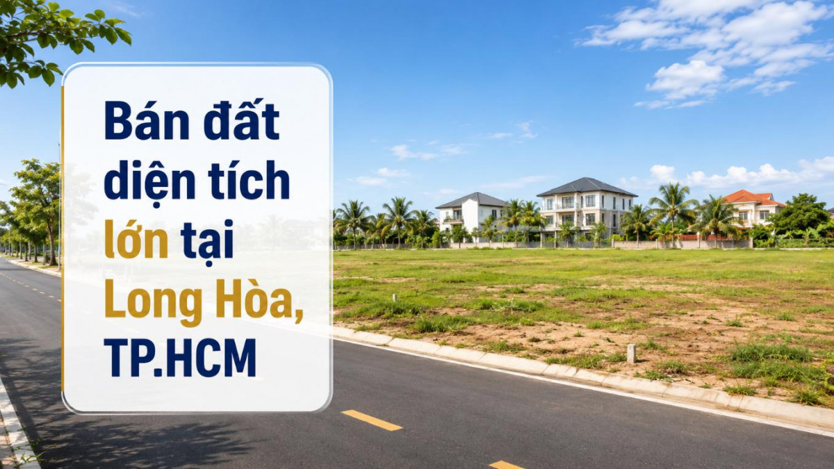 Bán đất diện tích lớn tại Long Hòa, đa dạng phương án