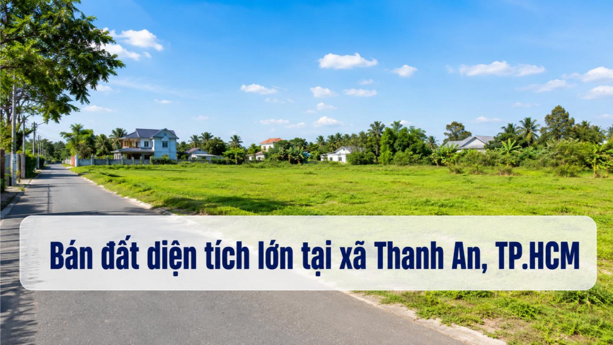 Bán đất diện tích lớn tại Thanh An, đa dạng phương án