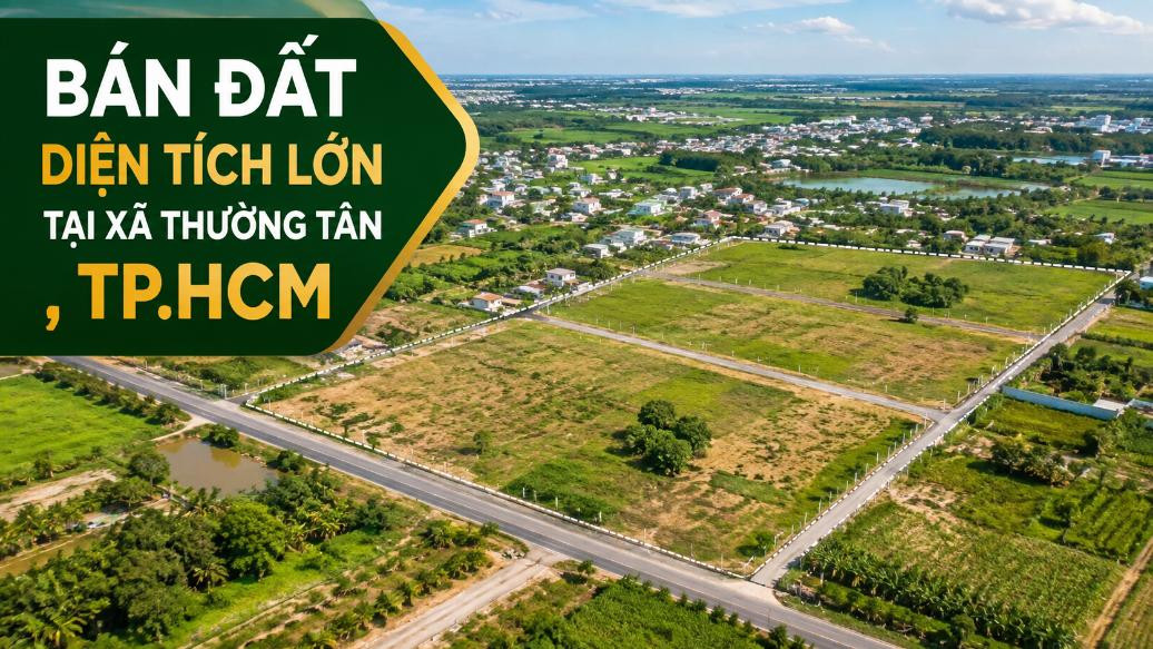 Bán đất diện tích lớn tại Thường Tân, đa dạng phương án