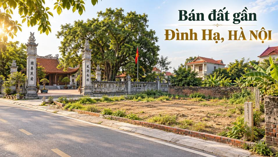 Bán đất gần Đình Hạ, Đa Phúc, phù hợp đầu tư dài hạn