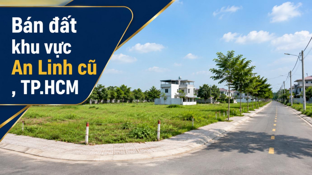 Bán đất khu vực An Linh cũ, phù hợp đầu tư dài hạn