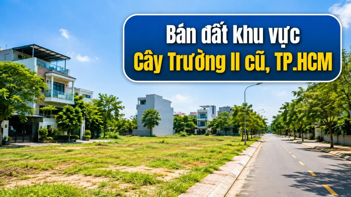 Bán đất khu vực Cây Trường II cũ, nhiều vị trí lựa chọn