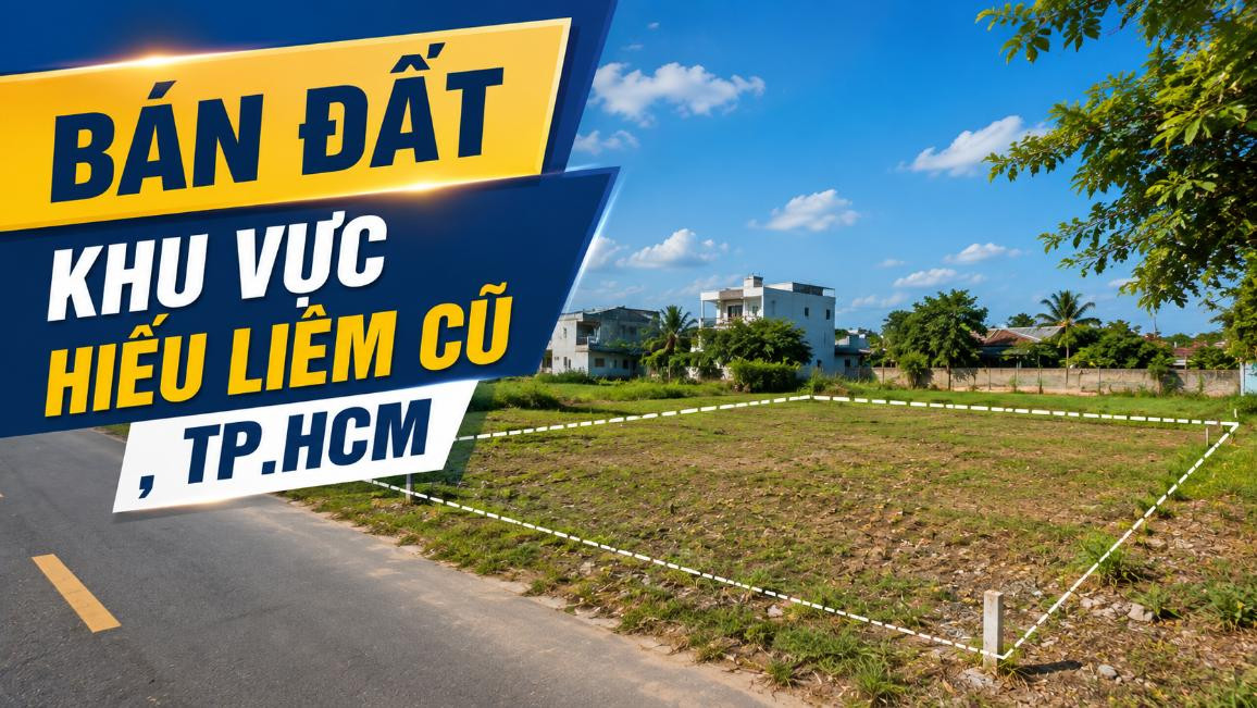 Bán đất khu vực Hiếu Liêm cũ, phù hợp đầu tư dài hạn