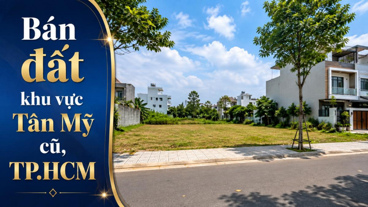 Bán đất khu vực Tân Mỹ cũ, nhiều diện tích lựa chọn