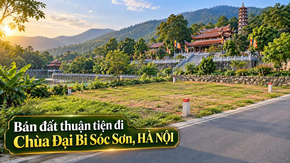 Bán đất Nội Bài thuận tiện đi Chùa Đại Bi Sóc Sơn