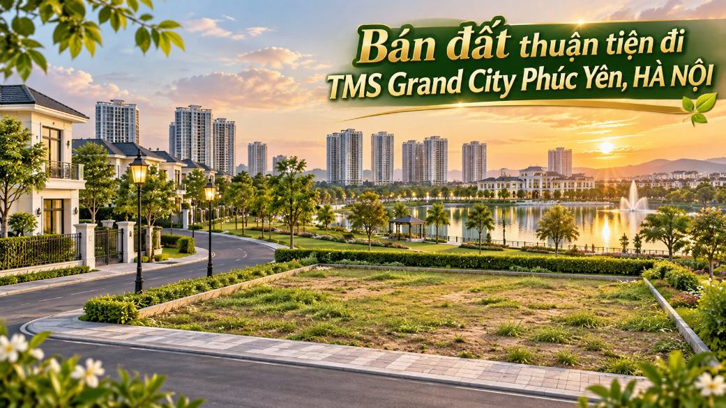 Bán đất Nội Bài thuận tiện đi TMS Grand City Phúc Yên