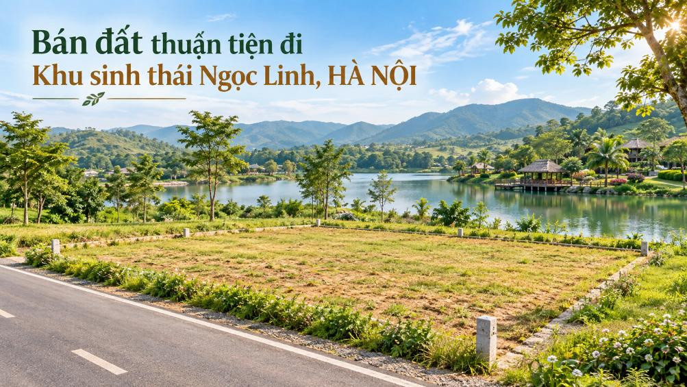 Bán đất Trung Giã thuận tiện đi Khu sinh thái Ngọc Linh