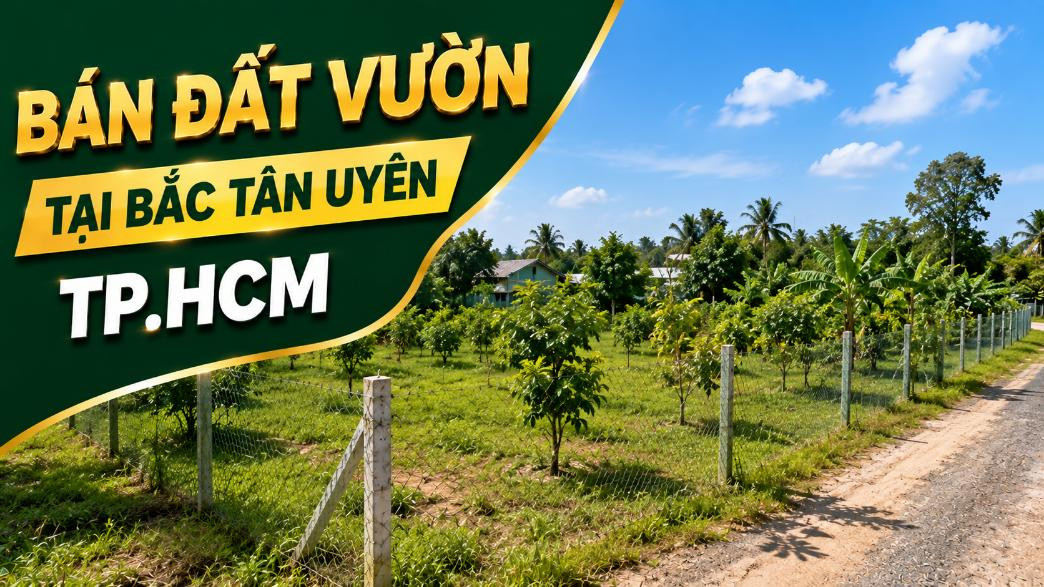 Bán đất vườn tại Bắc Tân Uyên, diện tích rộng thoáng