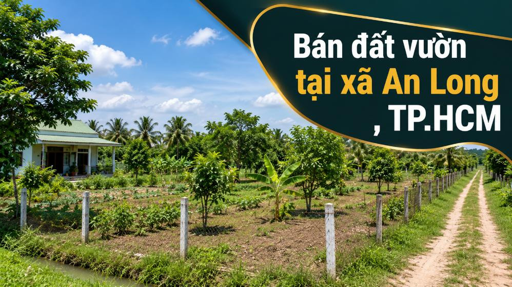 Bán đất vườn tại xã An Long, diện tích rộng thoáng