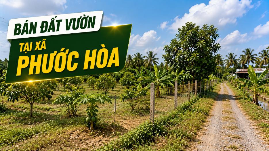 Bán đất vườn tại xã Phước Hòa, diện tích rộng thoáng