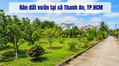 Bán đất vườn tại xã Thanh An, diện tích rộng thoáng