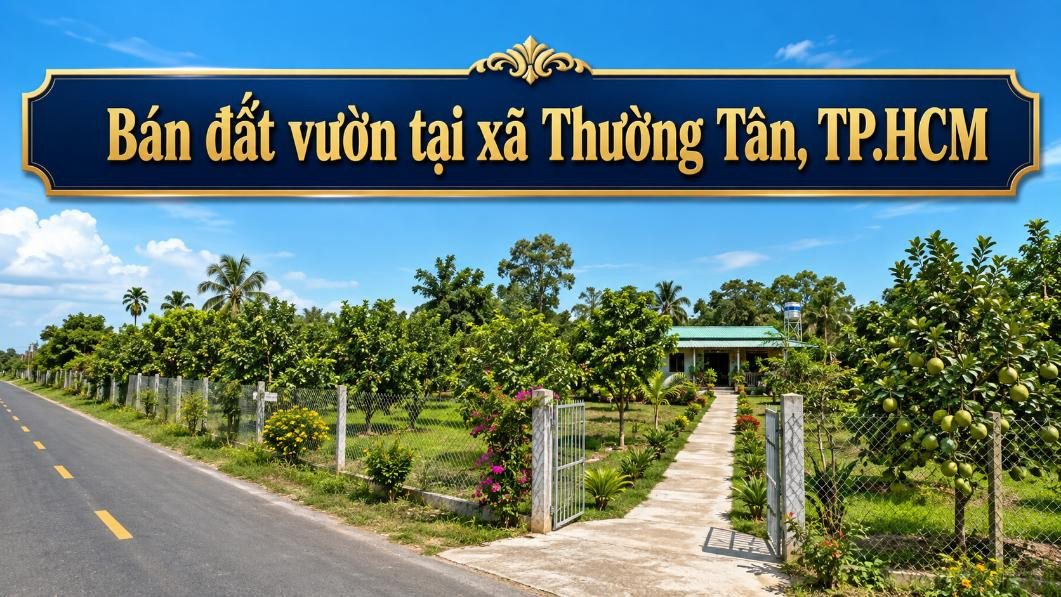 Bán đất vườn tại xã Thường Tân, diện tích rộng thoáng
