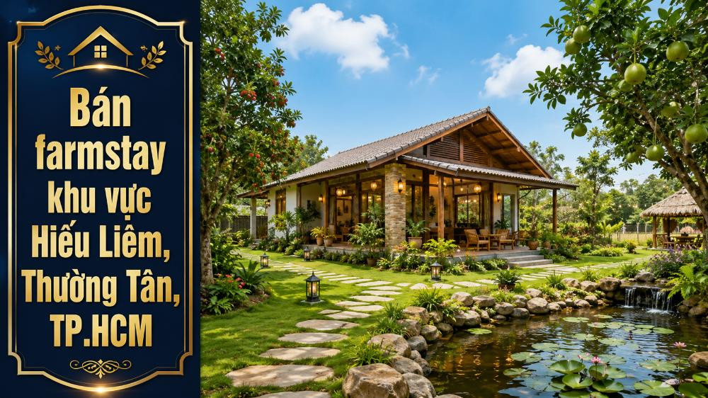 Bán farmstay tại Hiếu Liêm, Thường Tân, kết hợp vườn nghỉ dưỡng