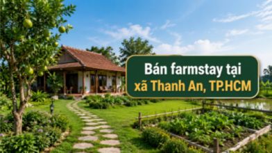 Bán farmstay tại Thanh An, kết hợp vườn và nghỉ dưỡng