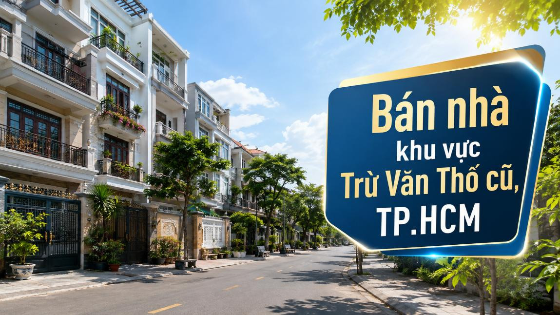 Bán nhà khu vực Trừ Văn Thố cũ, phù hợp nhu cầu ở thực