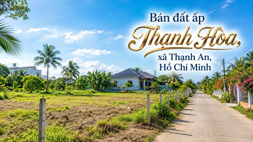 Bán đất ấp Thạnh Hòa, xã Thạnh An, nhiều diện tích lựa chọn