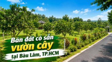 Bán đất có sẵn vườn cây tại Bàu Lâm, tiện canh tác