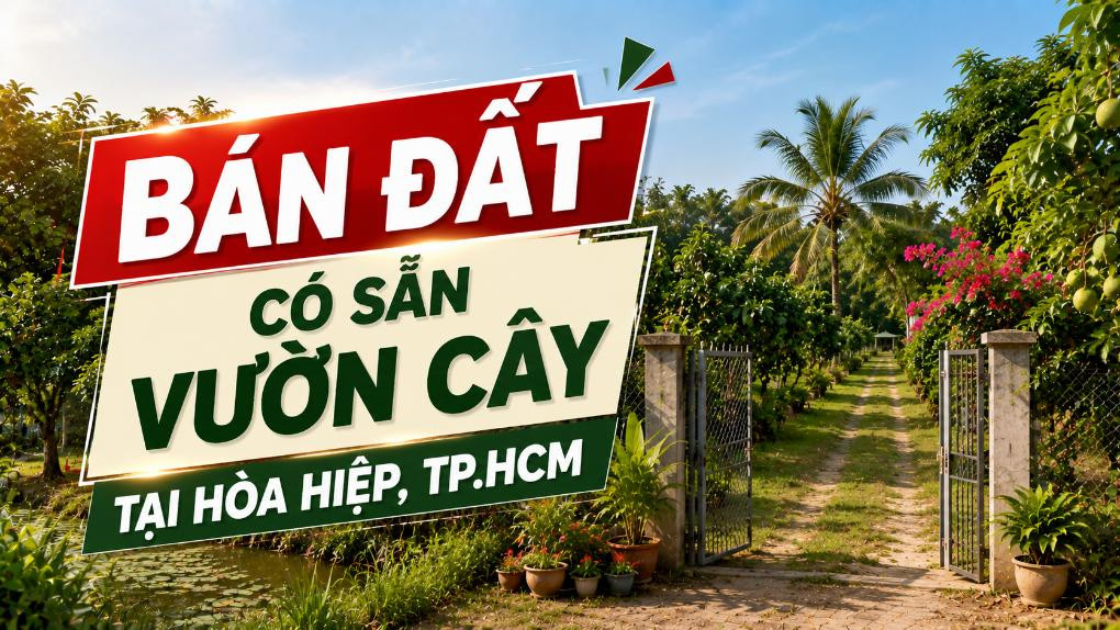 Bán đất có sẵn vườn cây tại Hòa Hiệp, sử dụng thuận tiện