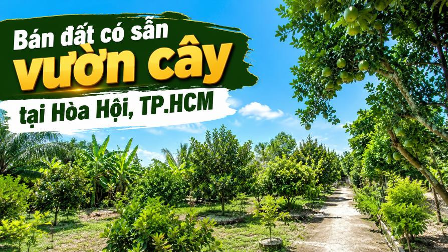 Bán đất có sẵn vườn cây tại Hòa Hội, tiện canh tác