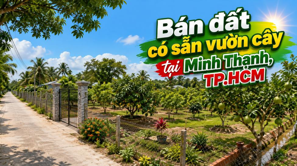Bán đất có sẵn vườn cây tại Minh Thạnh, tiện canh tác