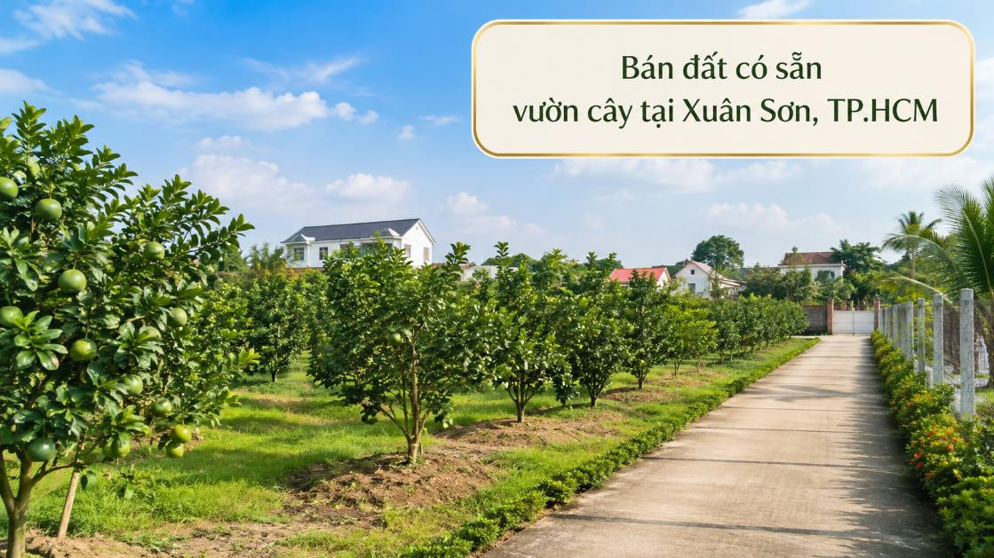 Bán đất có sẵn vườn cây tại Xuân Sơn, tiện canh tác