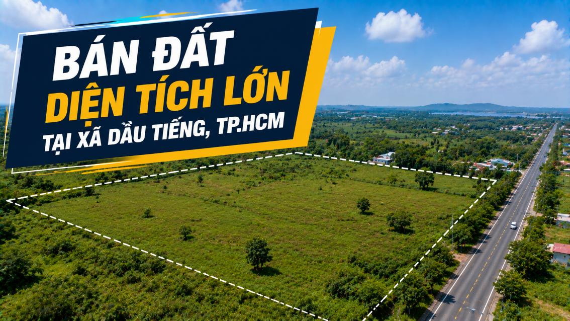 Bán đất diện tích lớn tại Dầu Tiếng, đa dạng phương án