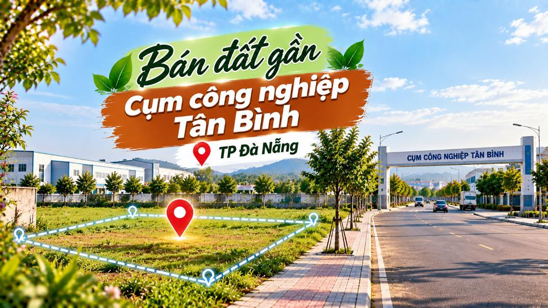 Bán đất gần Cụm công nghiệp Tân Bình – tiềm năng ở và đầu tư