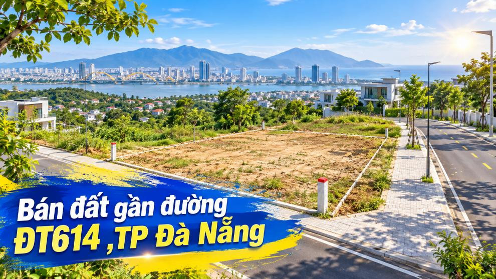 Bán đất gần ĐT614 – Vị trí giao thông đẹp cho kế hoạch dài hạn