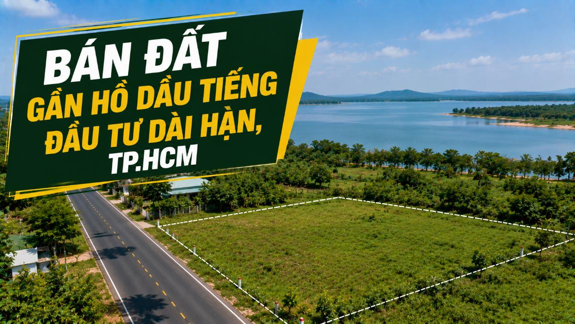 Bán đất gần Hồ Dầu Tiếng TPHCM, phù hợp đầu tư dài hạn