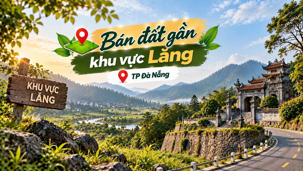 Bán đất gần khu vực Lăng – phù hợp nhà vườn, đầu tư dài hạn