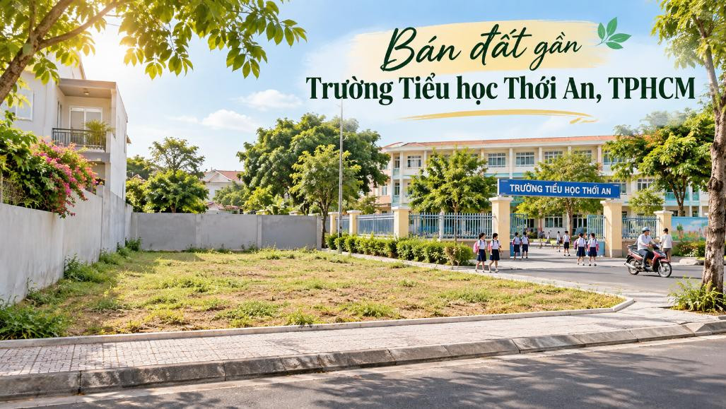 Bán đất gần Trường Tiểu học Thới An – tiện xây ở, đầu tư lâu dài