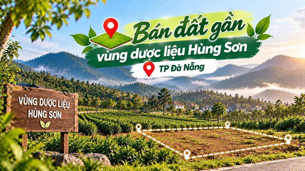 Bán đất gần vùng dược liệu Hùng Sơn – phù hợp nhà vườn, đầu tư