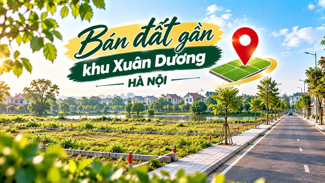 Bán đất khu Xuân Dương, Đa Phúc, tiềm năng đầu tư dài hạn