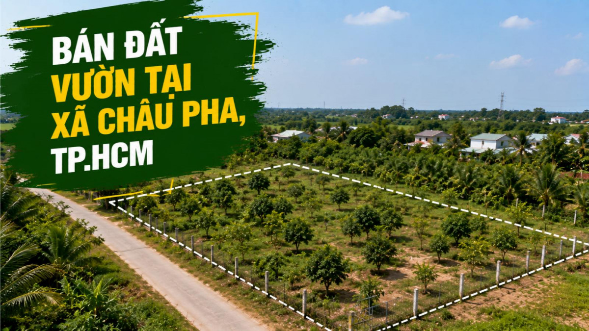Bán đất vườn tại xã Châu Pha, diện tích rộng thoáng