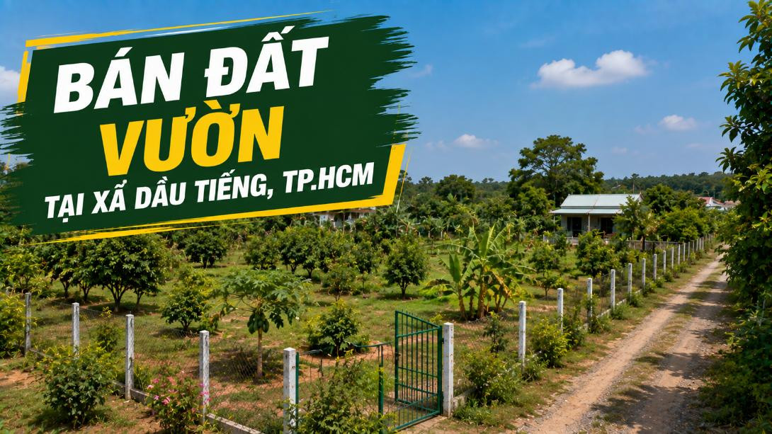 Bán đất vườn tại xã Dầu Tiếng, diện tích rộng thoáng