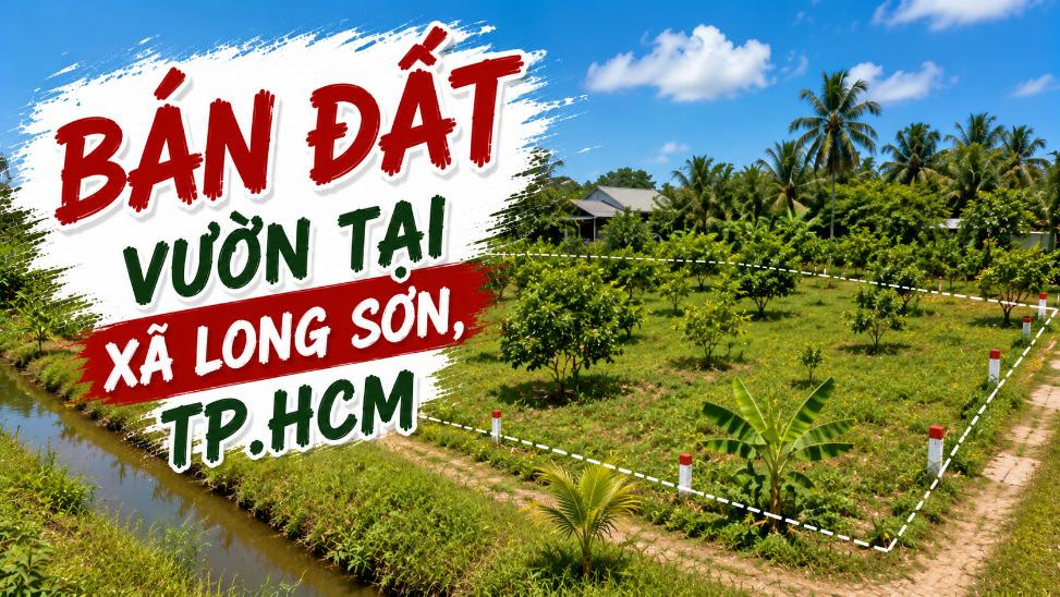 Bán đất vườn tại xã Long Sơn, diện tích rộng và thoáng