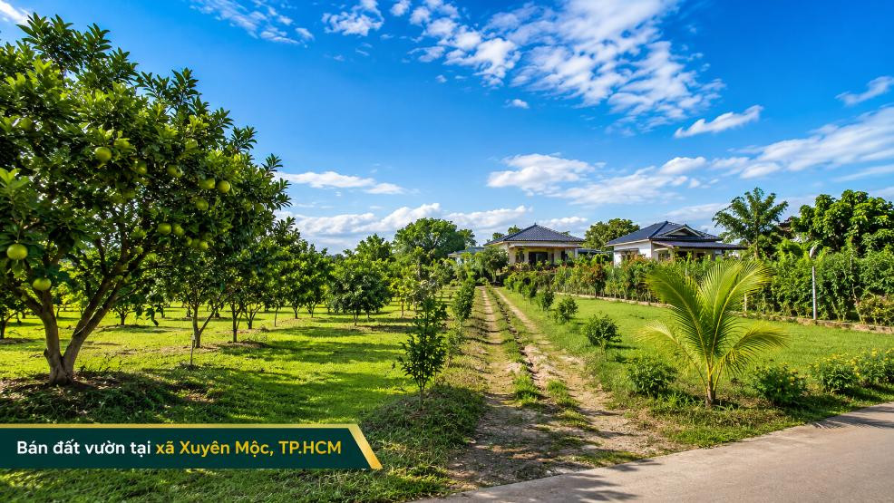 Bán đất vườn tại xã Xuyên Mộc, diện tích rộng thoáng