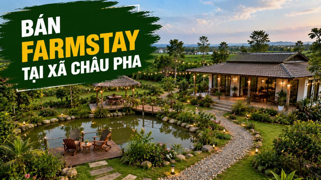 Bán farmstay tại Châu Pha, kết hợp vườn và nghỉ dưỡng