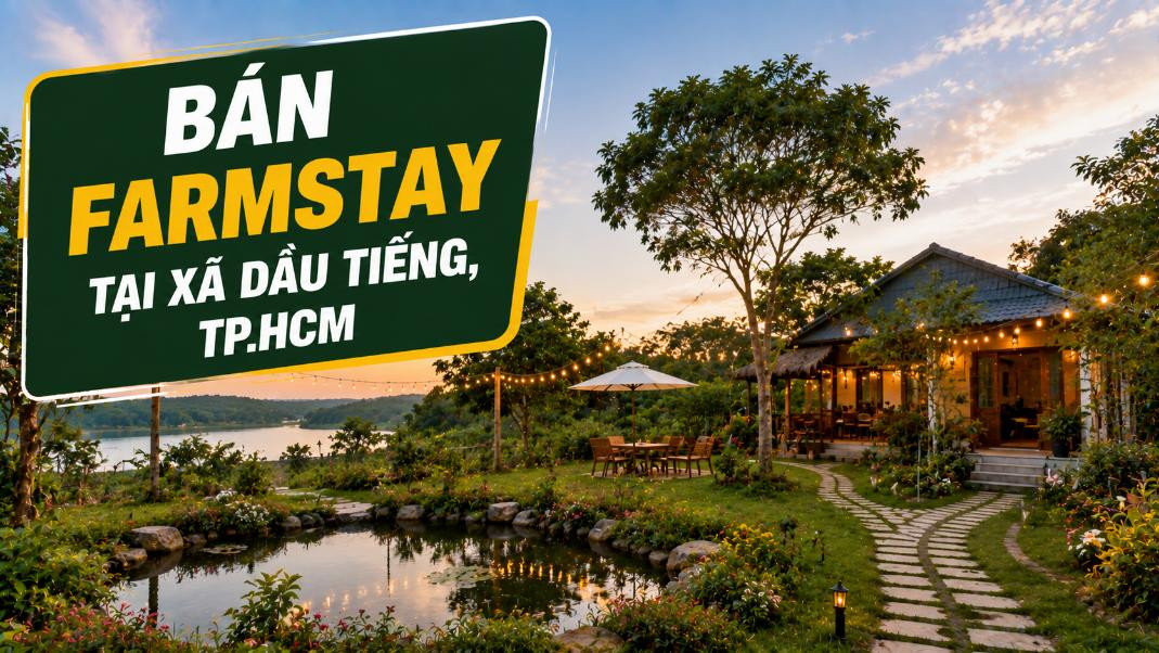 Bán farmstay tại Dầu Tiếng, kết hợp vườn và nghỉ dưỡng