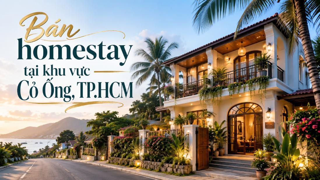 Bán homestay khu vực Cỏ Ống, gần Sân bay Côn Đảo