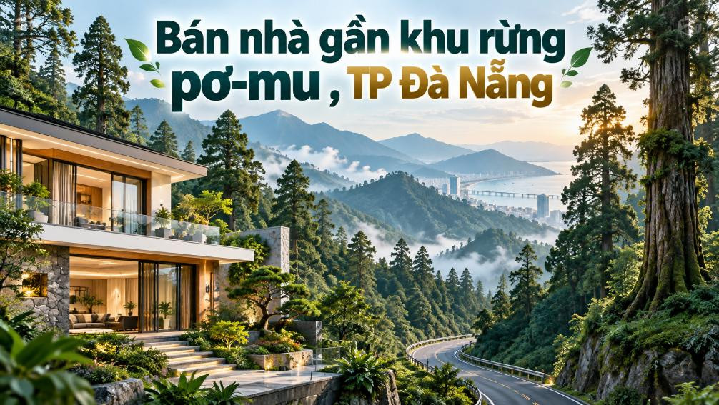 Bán nhà gần khu rừng pơ-mu – không gian xanh, phù hợp nghỉ dưỡng