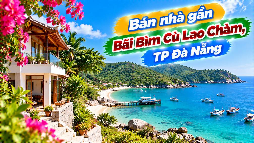 Bước gần hơn tới biển – Nhà Tân Hiệp bên Bãi Bìm Cù Lao Chàm
