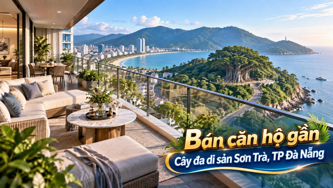 Căn hộ gần Cây đa Sơn Trà – Phố thị không xa, thiên nhiên thật gần
