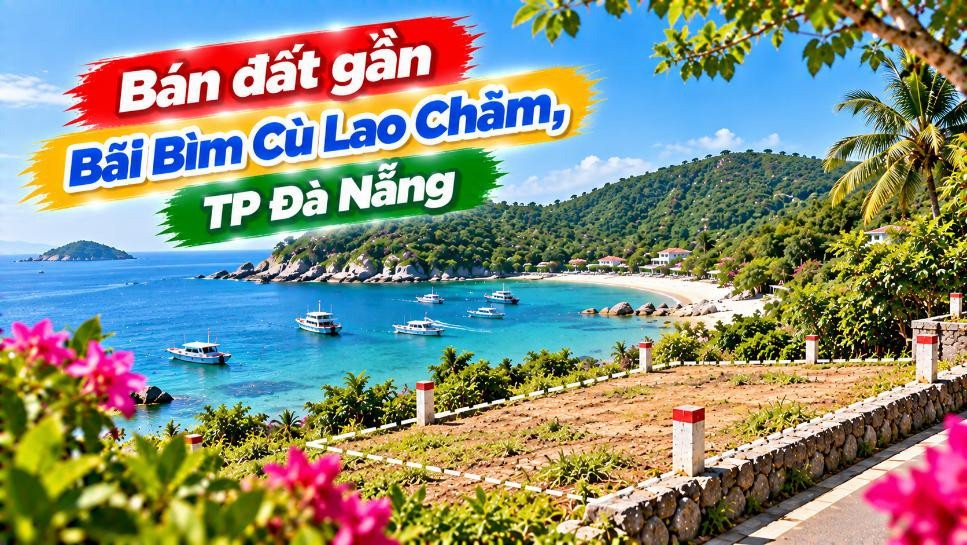 Đất gần Bãi Bìm – Khoảng riêng giữa biển trời Cù Lao Chàm