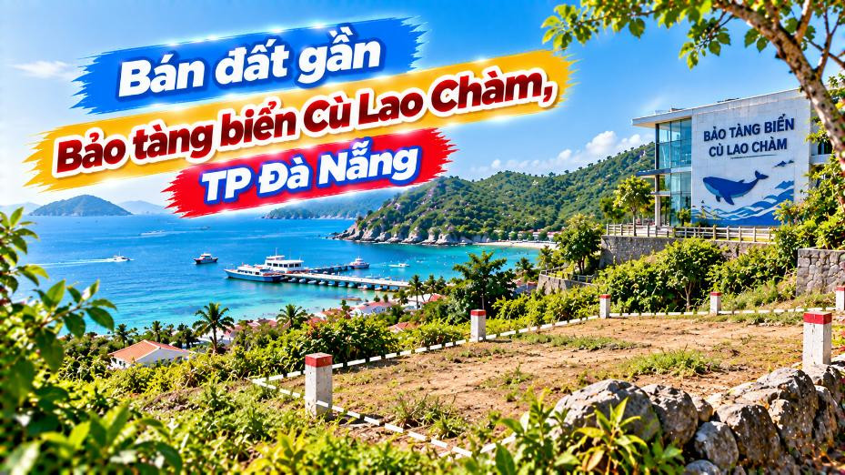 Đất gần Bảo tàng biển – Chọn một vị trí giữa nhịp du lịch Cù Lao Chàm
