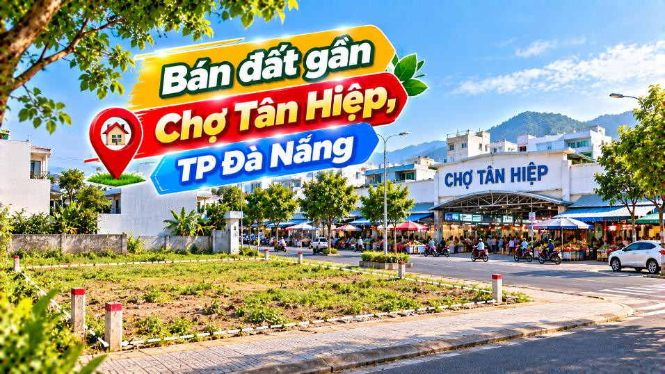 Đất gần Chợ Tân Hiệp – Vị trí gần dân cư giữa đảo xanh
