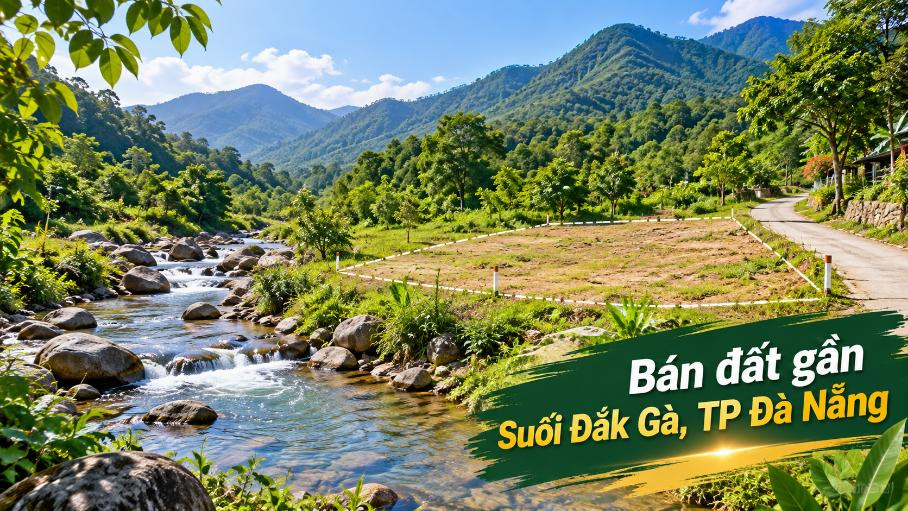 Đất gần Suối Đắk Gà – Giữ lại một khoảng thiên nhiên cho riêng mình