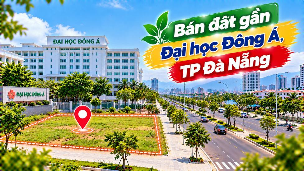 Đất Hòa Xuân gần Đại học Đông Á – Tính được cả an cư lẫn khai thác