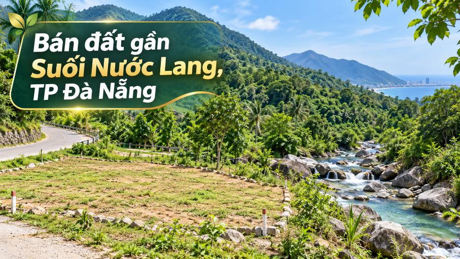 Đất Phước Hiệp gần Suối Nước Lang – Giữ một khoảng xanh giữa núi rừng